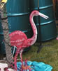 Pink Flamingo
